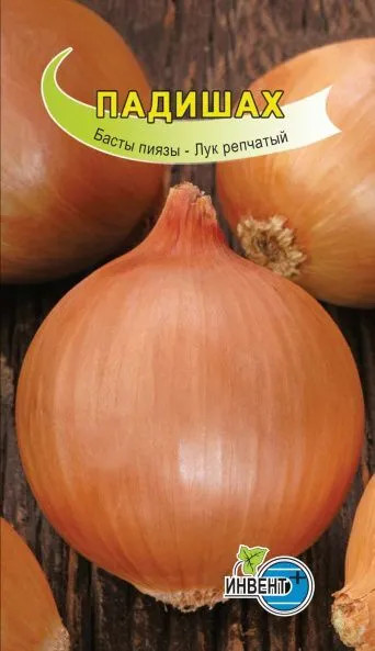 Лук «Падишах» | Инвент+