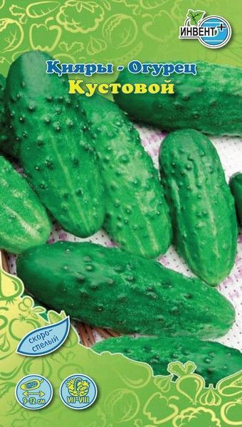 Огурец «Кустовой» | Инвент+