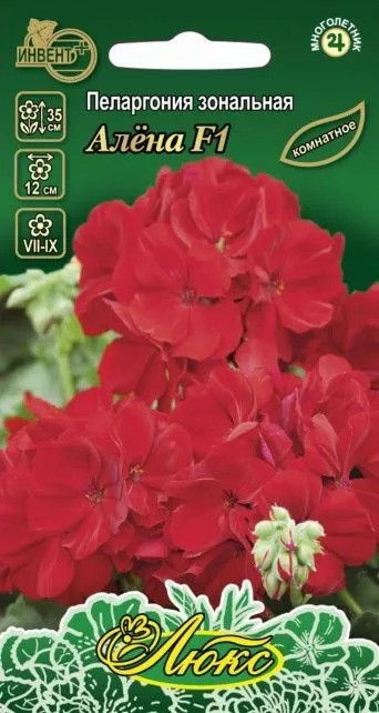 Пеларгония зональная «Алёна F1» | Люкс | Инвент+