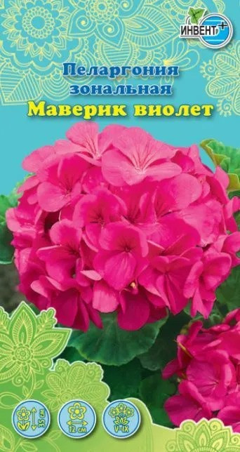 Пеларгония зональная «Маверик виолет» | Инвент+