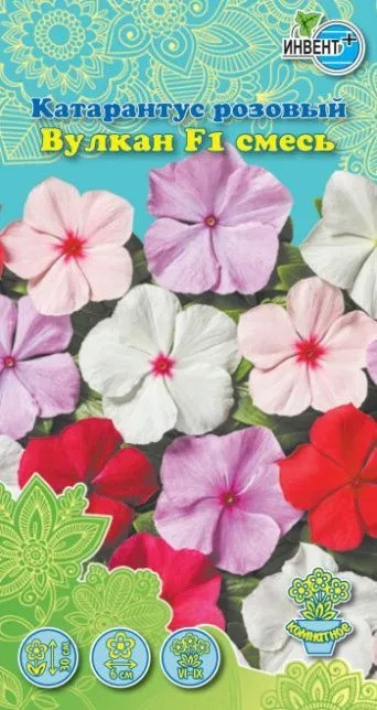 Катарантус розовый «Вулкан F1 cмесь» | Инвент+