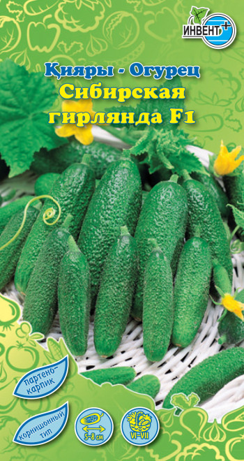 Огурец «Сибирская ГирляндаF1» | Инвент+