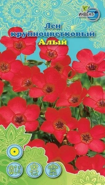 Лен крупноцветковый «Алый» | Инвент+