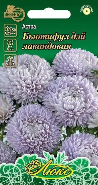 Астра лавандовая «Бьютифул дэй» | Инвент+