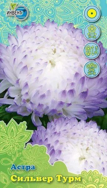 Астра «Сильвер Турм» | Инвент+