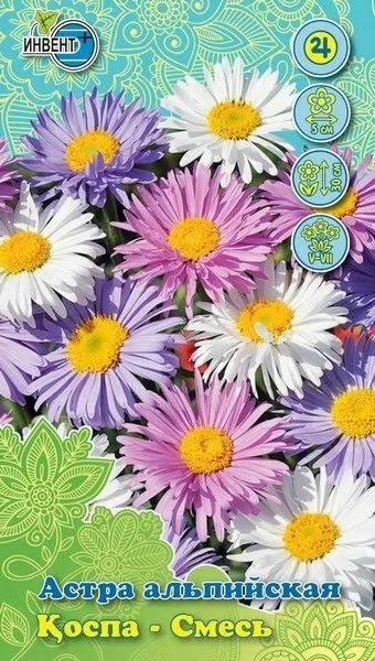 Астра «Альпийская смесь» | Инвент+