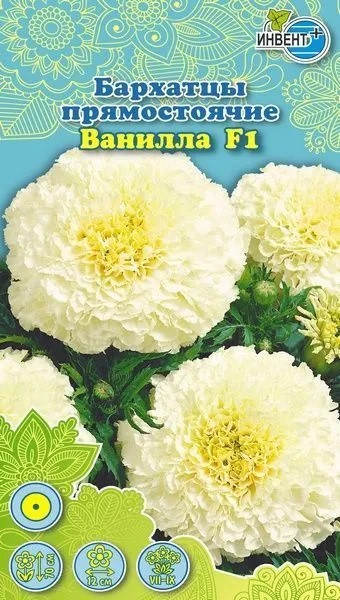Бархатцы «Ванилла F1» | Инвент+