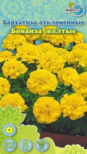 Бархатцы отклоненные «Бонанза жёлтые» | Инвент+
