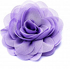 фиолетовый фиолетовый