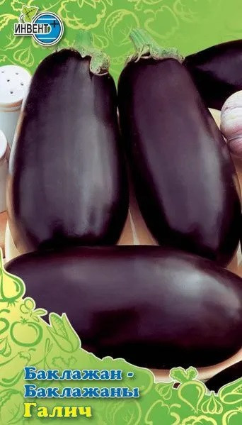 Баклажан «Галич» | Инвент+
