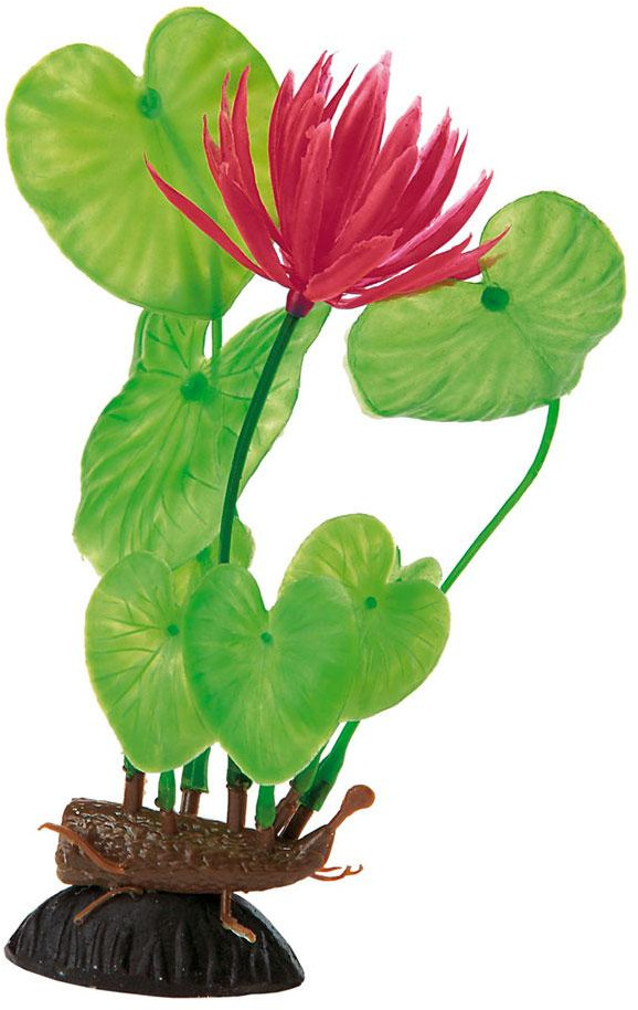 Растение «Eichhornia» | Ferplast