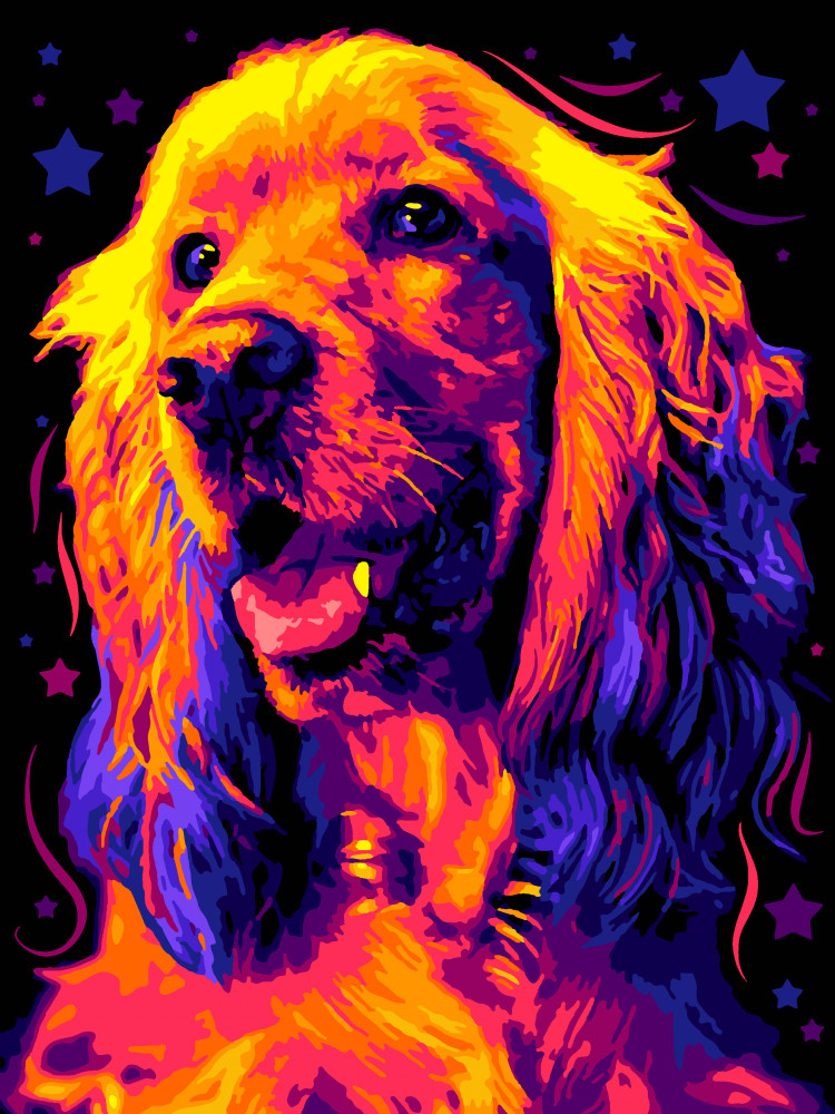 Картина по номерам «Яркий спаниель» | Lori