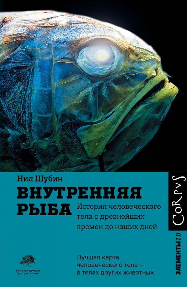 Внутренняя рыба | Элементы 2.0