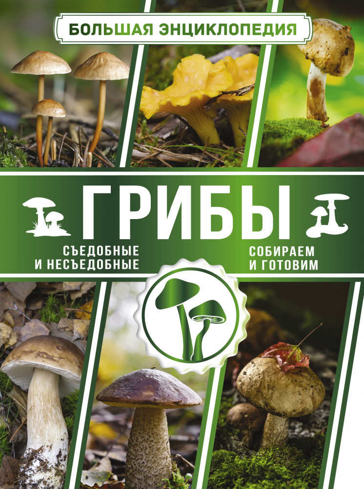 Большая энциклопедия. Грибы. Съедобные и несъедобные. Собираем и готовим. | Большая энциклопедия увлечений