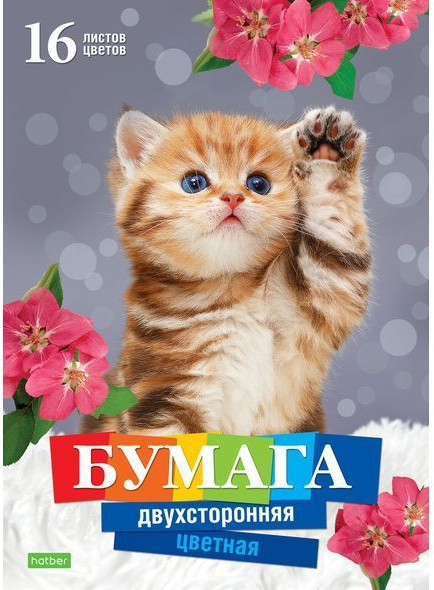 Набор цветной бумаги «Котёнок» | Котенок | Hatber