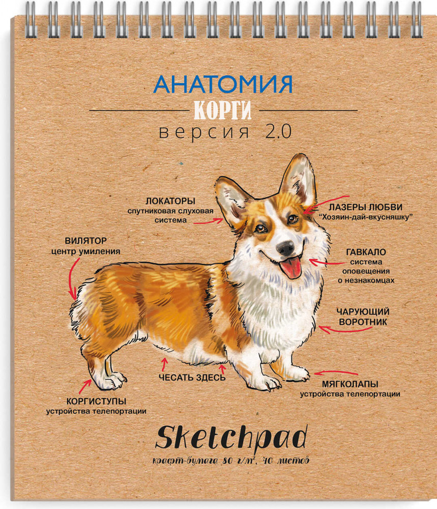 Скетчпад «Корги» | Феникс +