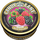 лесные ягоды