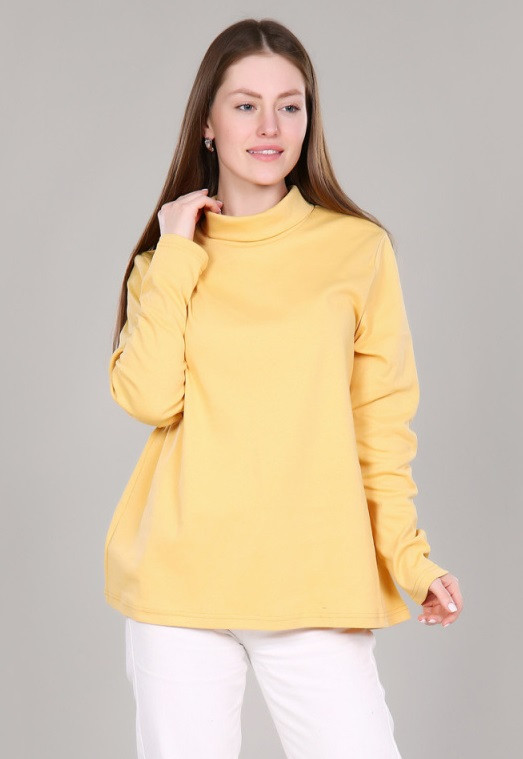 Водолазка женская | Dianida