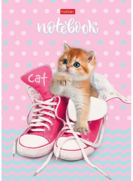 Книга для записей «Котик в кедах» | Hatber