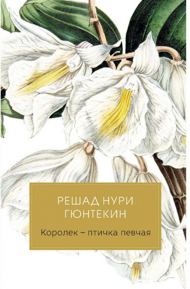 Королек — птичка певчая