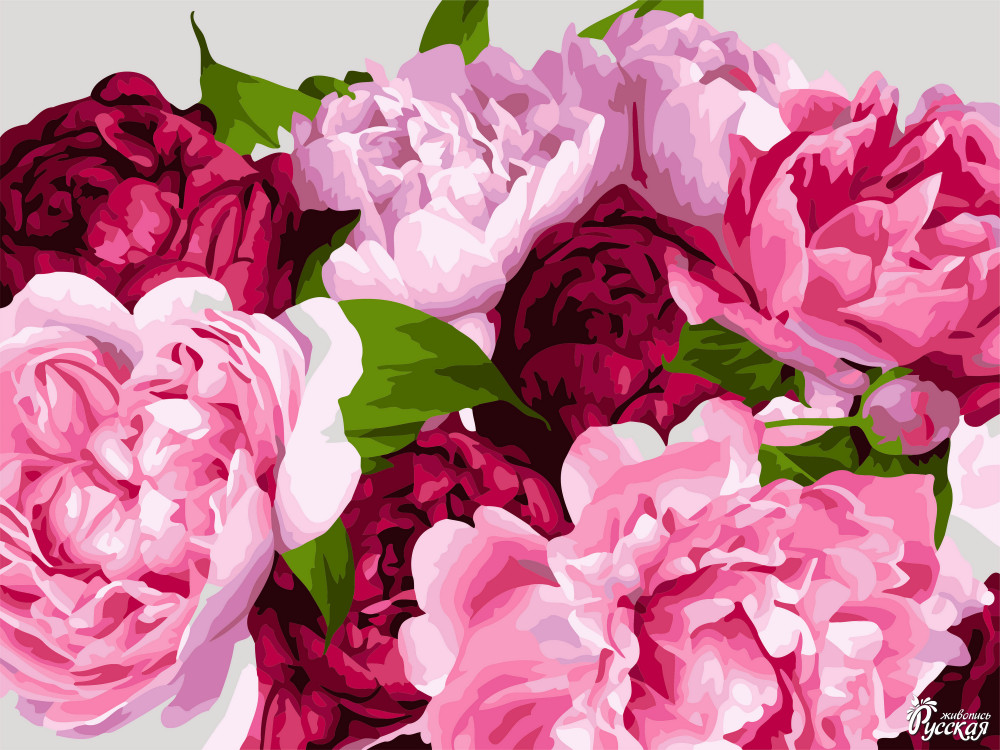 Картина по номерам «Свежие пионы» | Русская живопись
