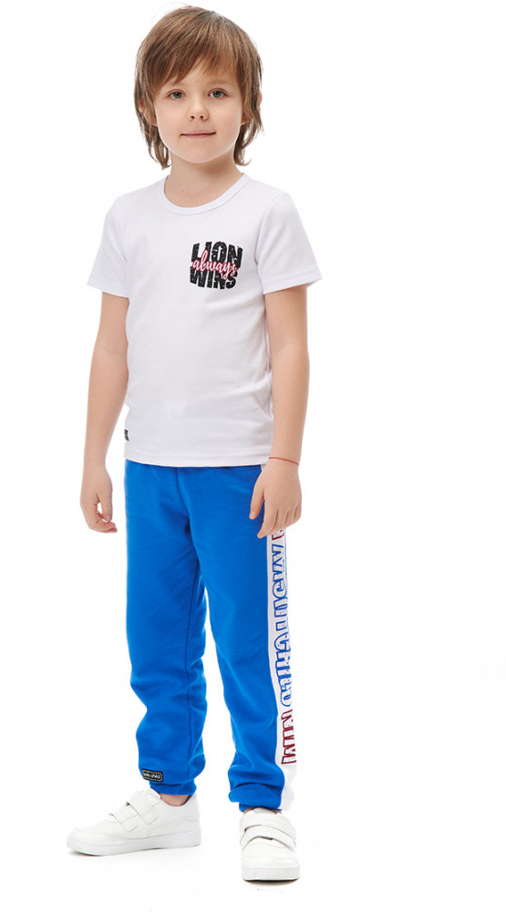 Футболка для мальчиков «Львы и леопарды» | Спортивные костюмы | Lucky Child