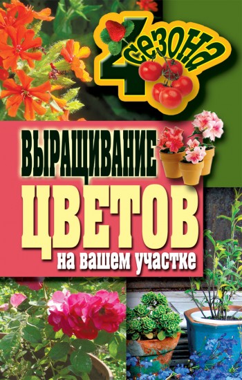 Выращивание цветов на вашем участке