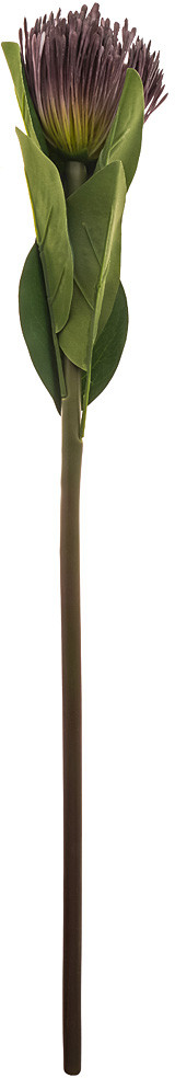 Цветок искусственный «Леукоспермум» | Lefard