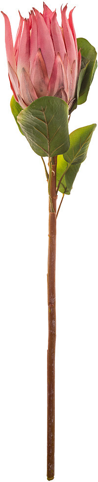 Цветок искусственный «Протея» | Lefard