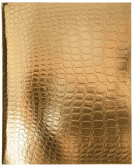 Тетрадь | Metallic | Hatber