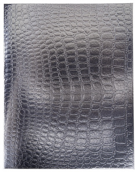 Тетрадь | Metallic | Hatber