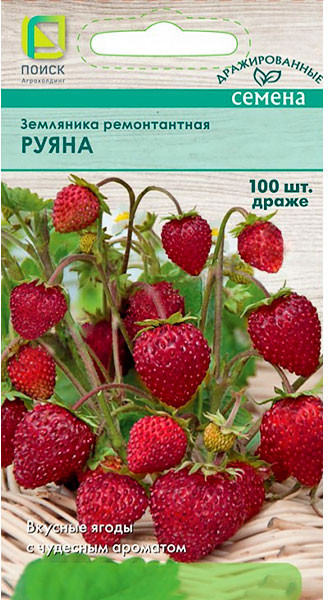Земляника ремонтантная «Руяна» | Поиск