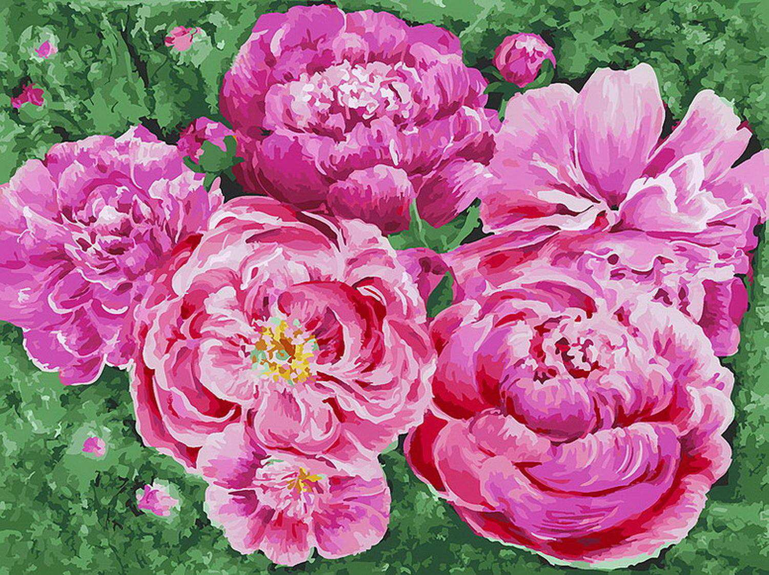 Картина по номерам «Июньское утро» | Белоснежка