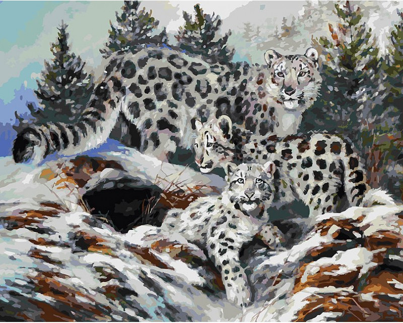 Картина по номерам «Ирбисы» | Животные | Белоснежка