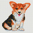 Мозаика алмазная «Корги»