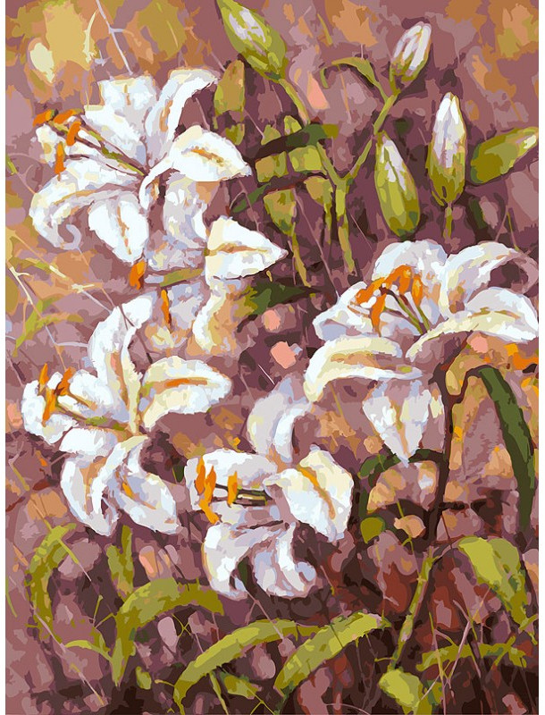 Картина по номерам «Нормандские лилии» | Цветы | Белоснежка