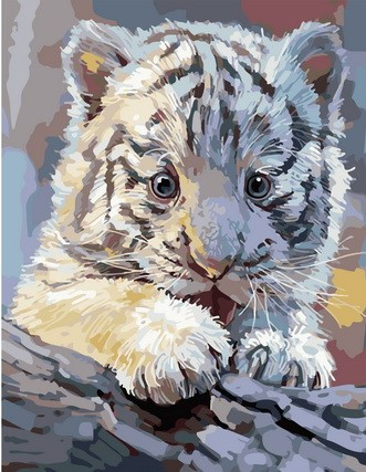 Картина по номерам «Белый тигренок» | Paintboy