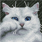 Мозаика алмазная «Белый котик»