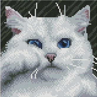 Мозаика алмазная «Белый котик» | Paintboy