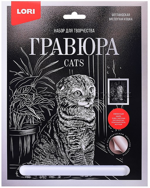 Гравюра «Шотландская вислоухая» | Lori