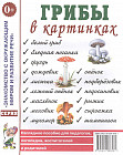 Грибы в картинках. Наглядное пособие для педагогов, логопедов, воспитателей и родителей