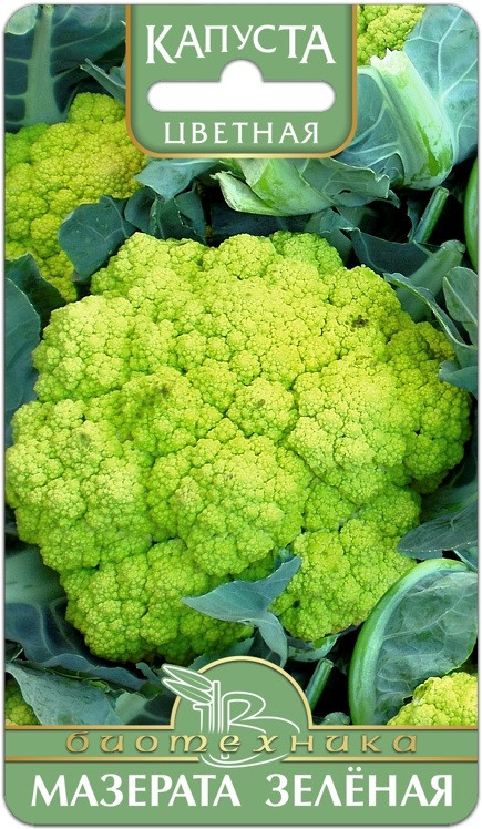 Капуста цветная «Мазерата зелёная» | Биотехника