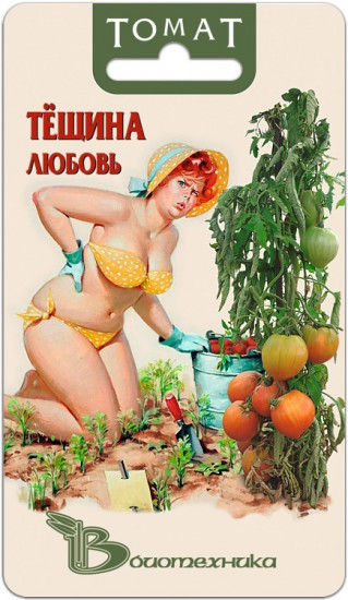Томат «Тёщина любовь»