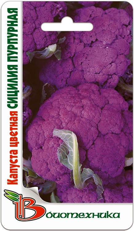 Капуста цветная «Сицилия пурпурная» | Биотехника