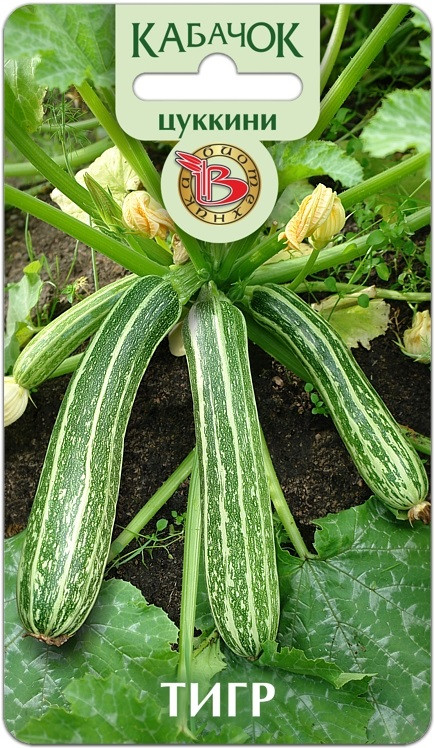 Кабачок цуккини «Тигр» | Биотехника