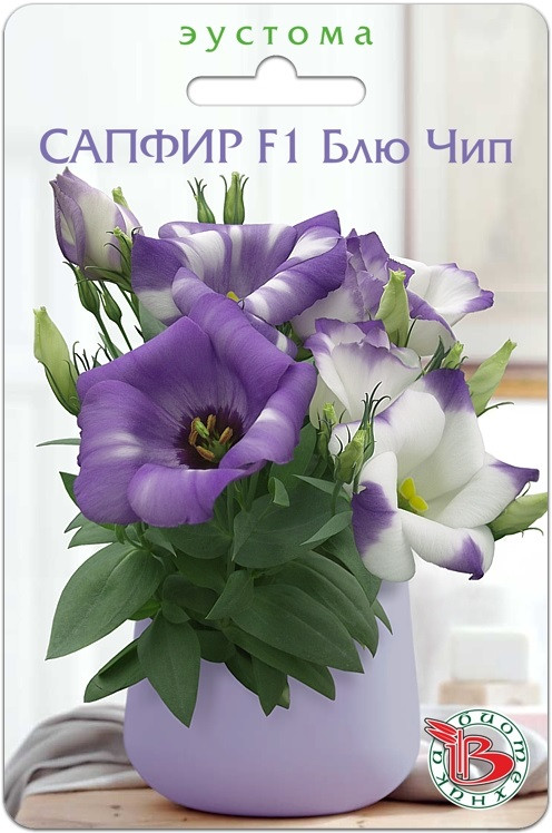 Эустома горшечная «Сапфир F1 Блю Чип» | Биотехника
