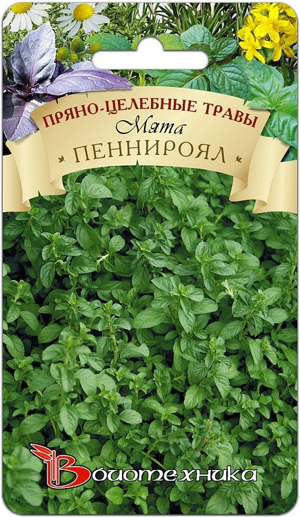 Мята «Пеннироял» | Биотехника