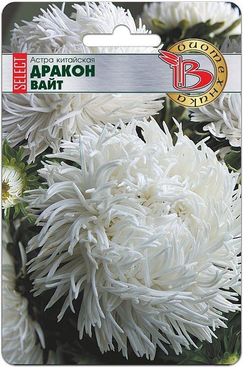 Астра китайская «Дракон Вайт» | Дракон селект | Биотехника