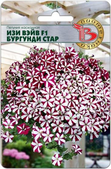 Петуния каскадная