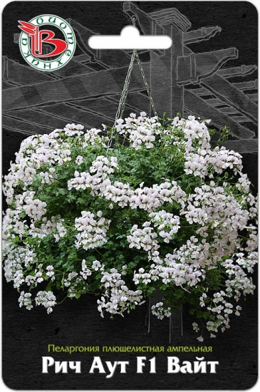 Пеларгония «Рич Аут F1 Вайт»